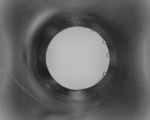 X0000103970430200810311528