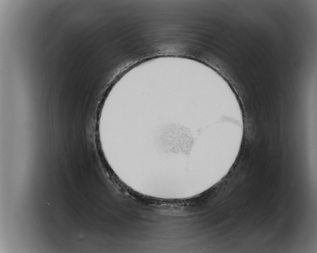 X0000103970434200810311527