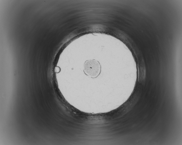 X0000103970435200810311527