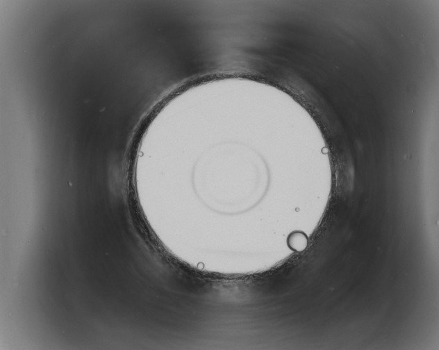 X0000103970436200810311527