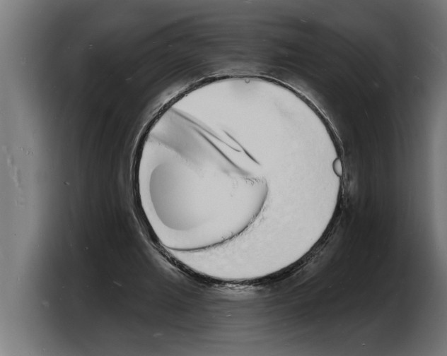 X0000103970437200810311527