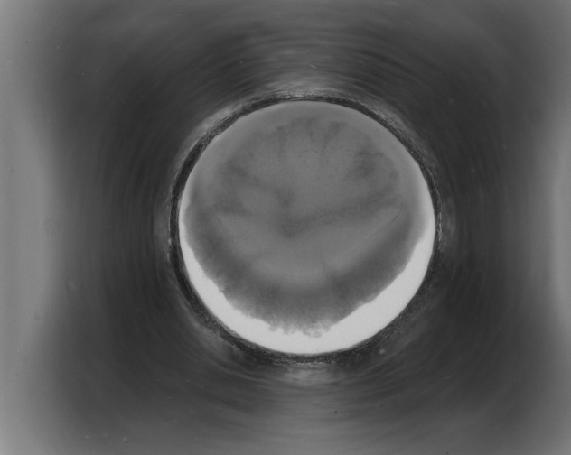 X0000103970438200810311527