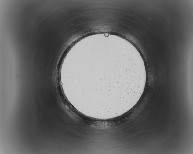 X0000103970439200810311527