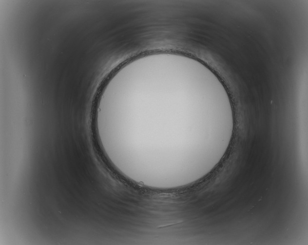 X0000103970440200810311527