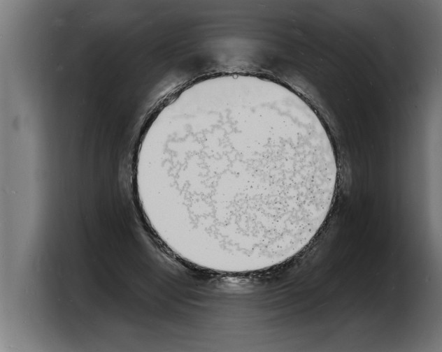 X0000103970442200810311527