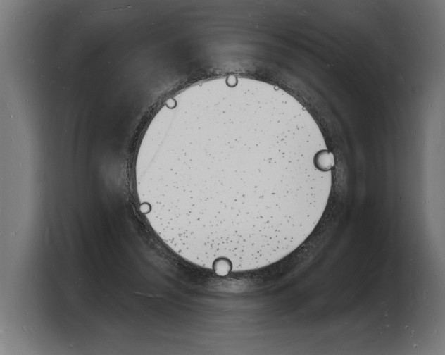X0000103970444200810311528