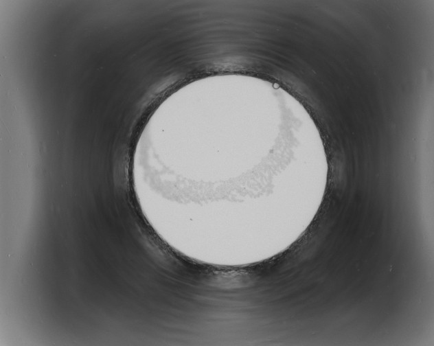 X0000103970446200810311528