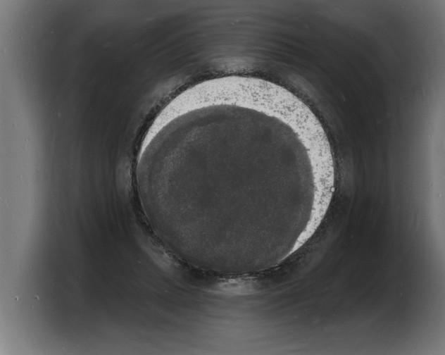 X0000103970447200810311528