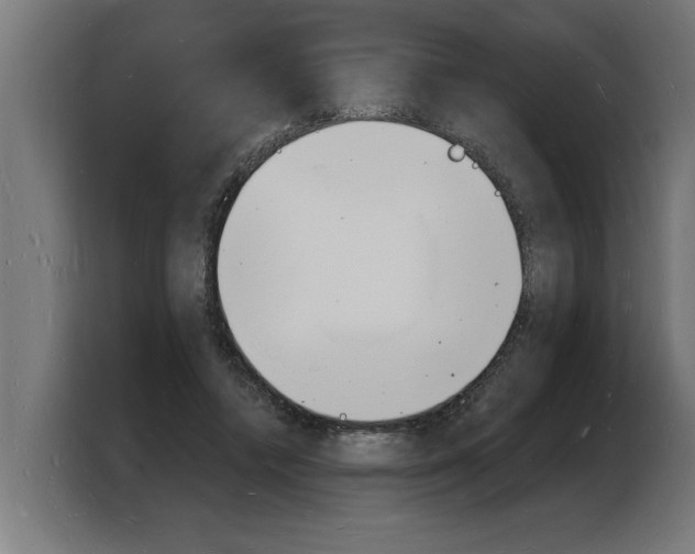 X0000103970448200810311528