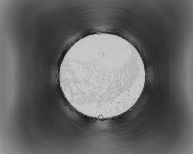 X0000103970450200810311528