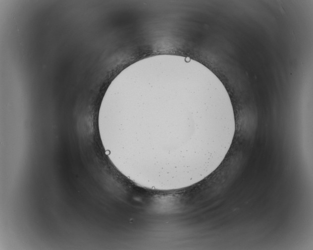 X0000103970452200810311528