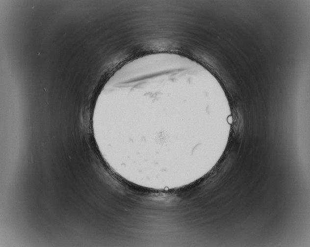 X0000103970453200810311528