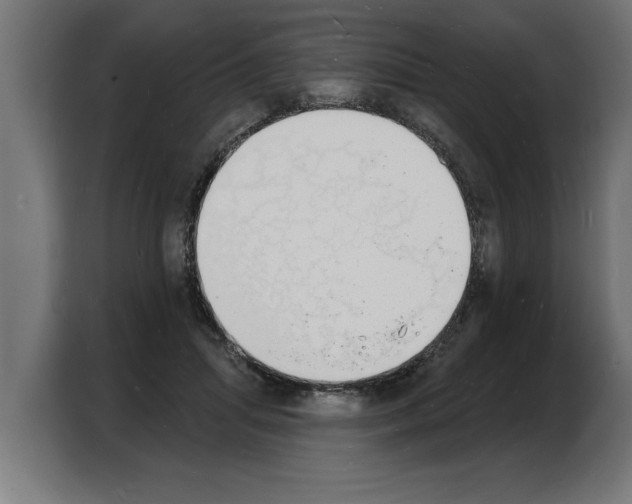 X0000103970455200810311528