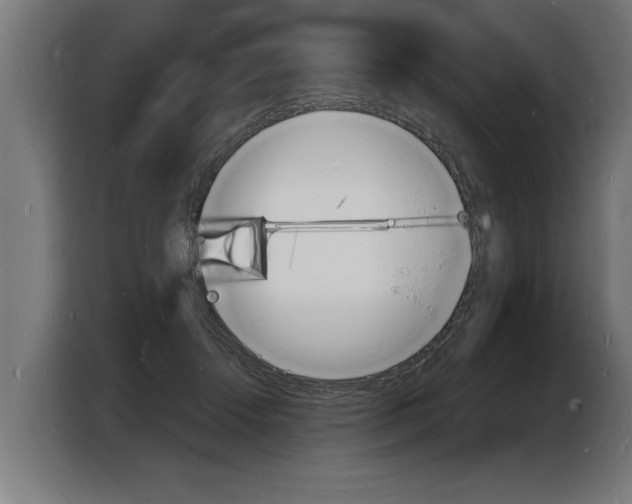 X0000103970456200810311528