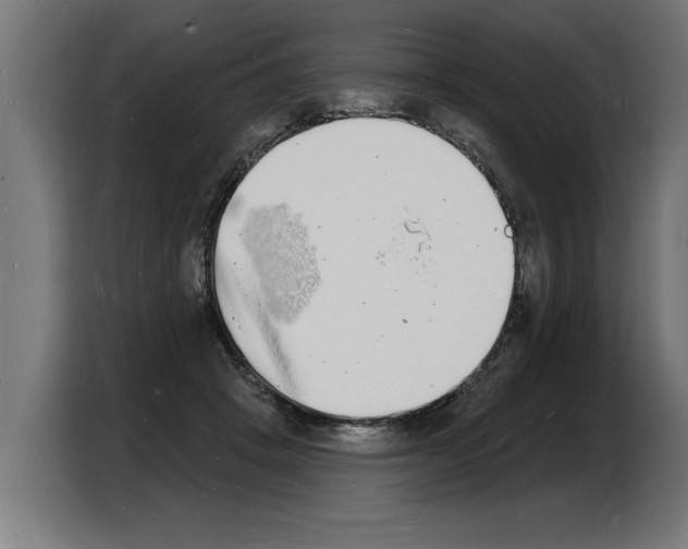 X0000103970457200810311528