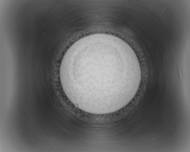 X0000103970460200810311528