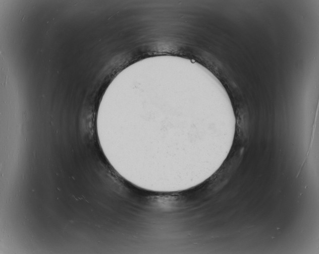 X0000103970462200810311528