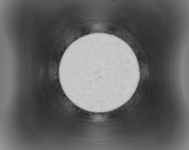 X0000103970464200810311528