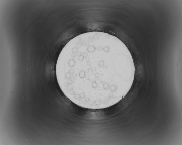 X0000103970466200810311528