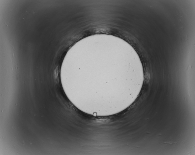 X0000103970468200810311528