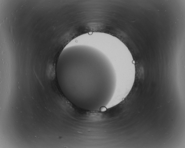 X0000103970471200810311528