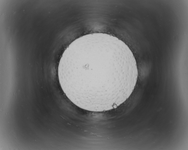 X0000103970472200810311528