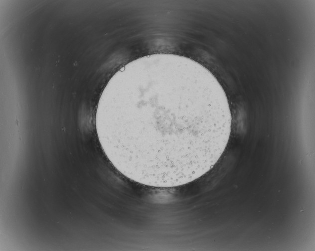 X0000103970474200810311528