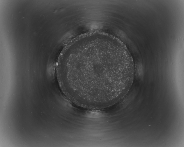 X0000103970475200810311528