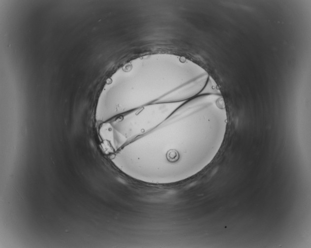 X0000103970476200810311528