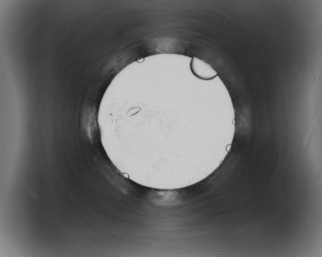 X0000103970478200810311528