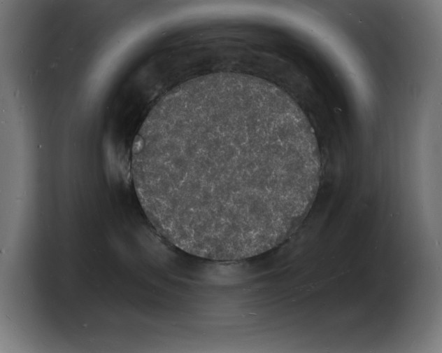 X0000103970479200810311528
