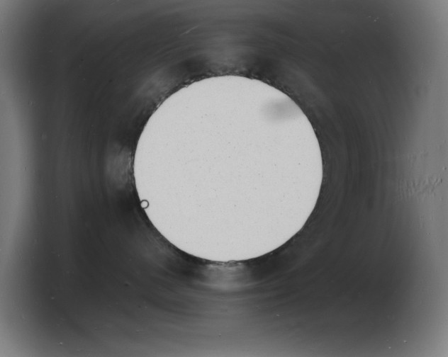 X0000103970480200810311528