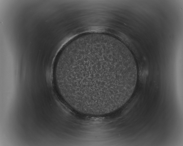 X0000103970484200810311527