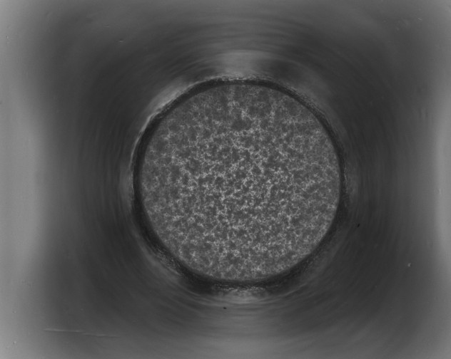 X0000103970488200810311527