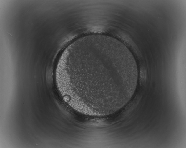 X0000103970492200810311527