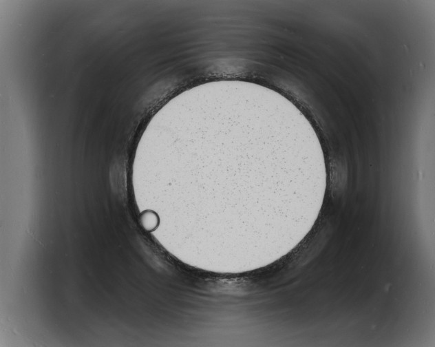 X0000103970493200810311527