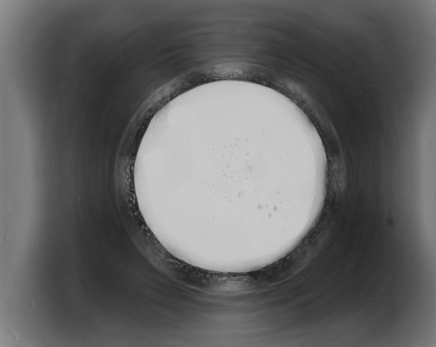X0000103970495200810311527