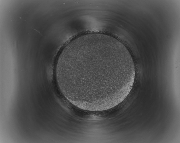 X0000103970496200810311527