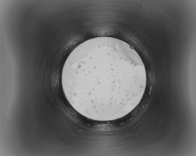 X0000103970499200810311527