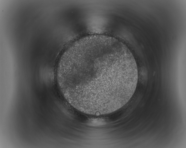 X0000103970500200810311527