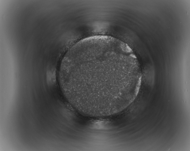 X0000103970504200810311527