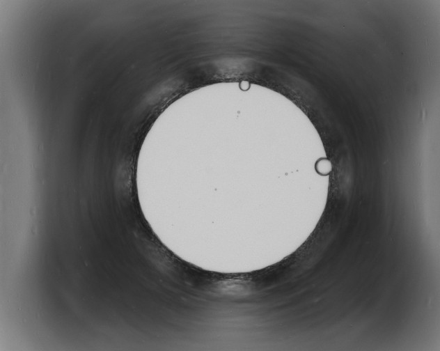 X0000103970505200810311527
