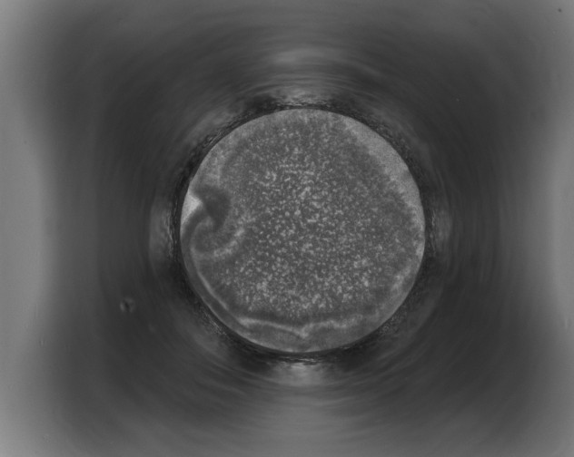 X0000103970506200810311527