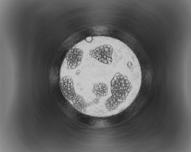 X0000103970507200810311527