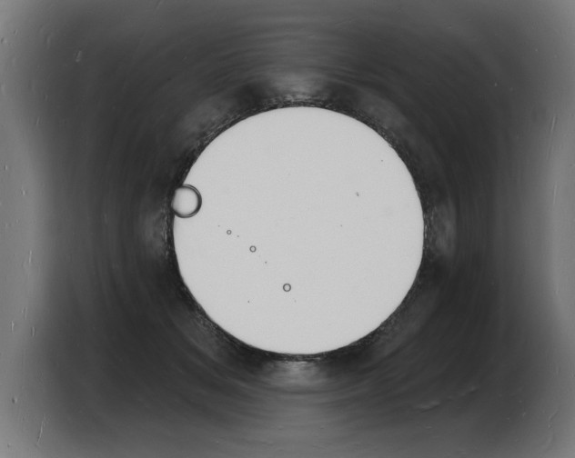 X0000103970509200810311527