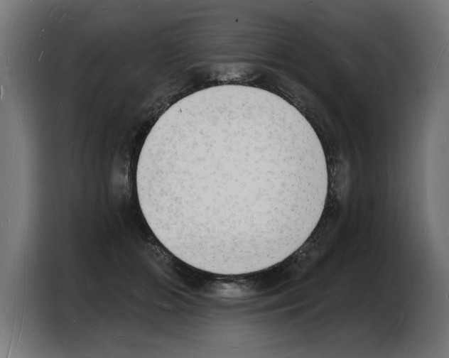 X0000103970510200810311527