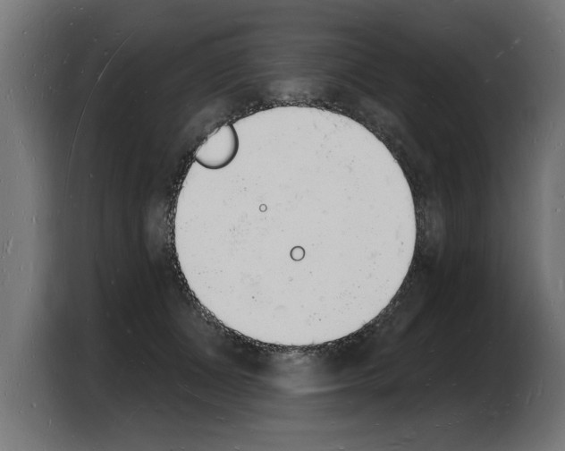 X0000103970511200810311527