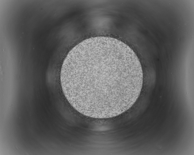X0000103970512200810311527