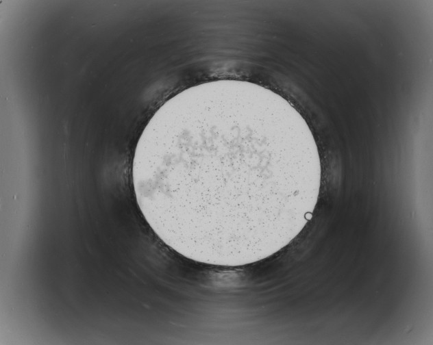 X0000103970513200810311527