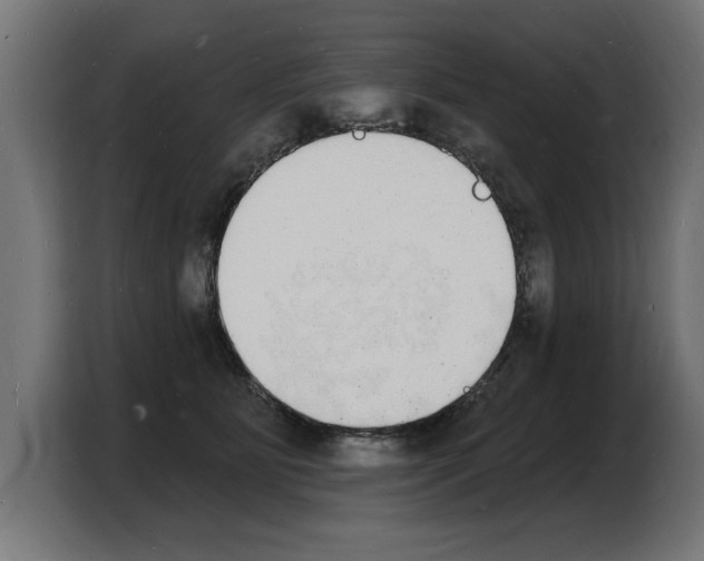 X0000103970515200810311527